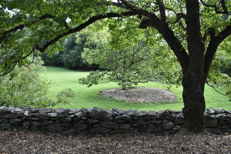 A Peaceful Picnic Spot That Beats Any Restaurant Patio A Peaceful Picnic Spot That Beats Any Restaurant Patio