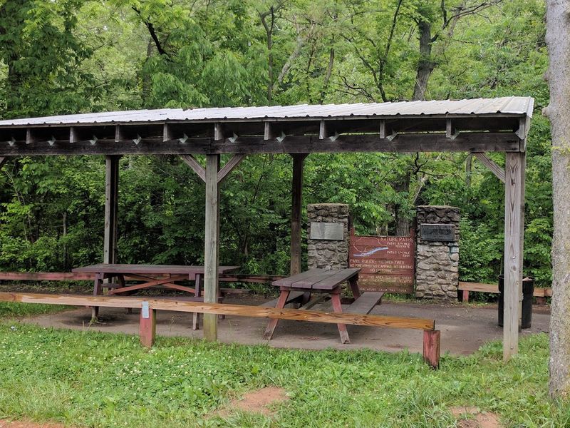 A Peaceful Picnic Spot for Families and Friends A Peaceful Picnic Spot for Families and Friends