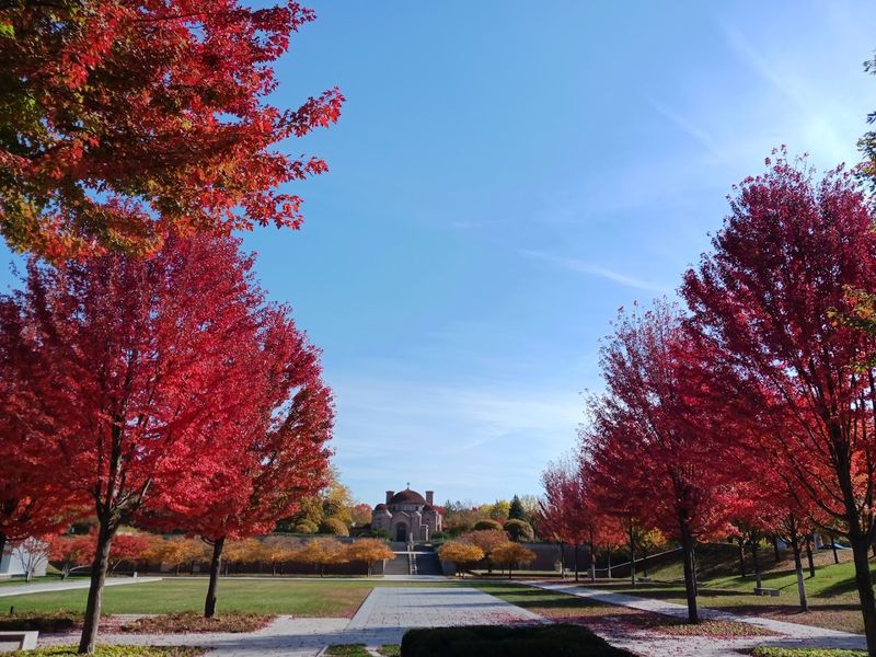 A Peaceful Urban Escape Right Off Hennepin Avenue