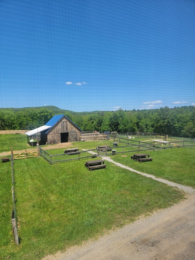 A Playground, a Sugarhouse, and Room to Roam