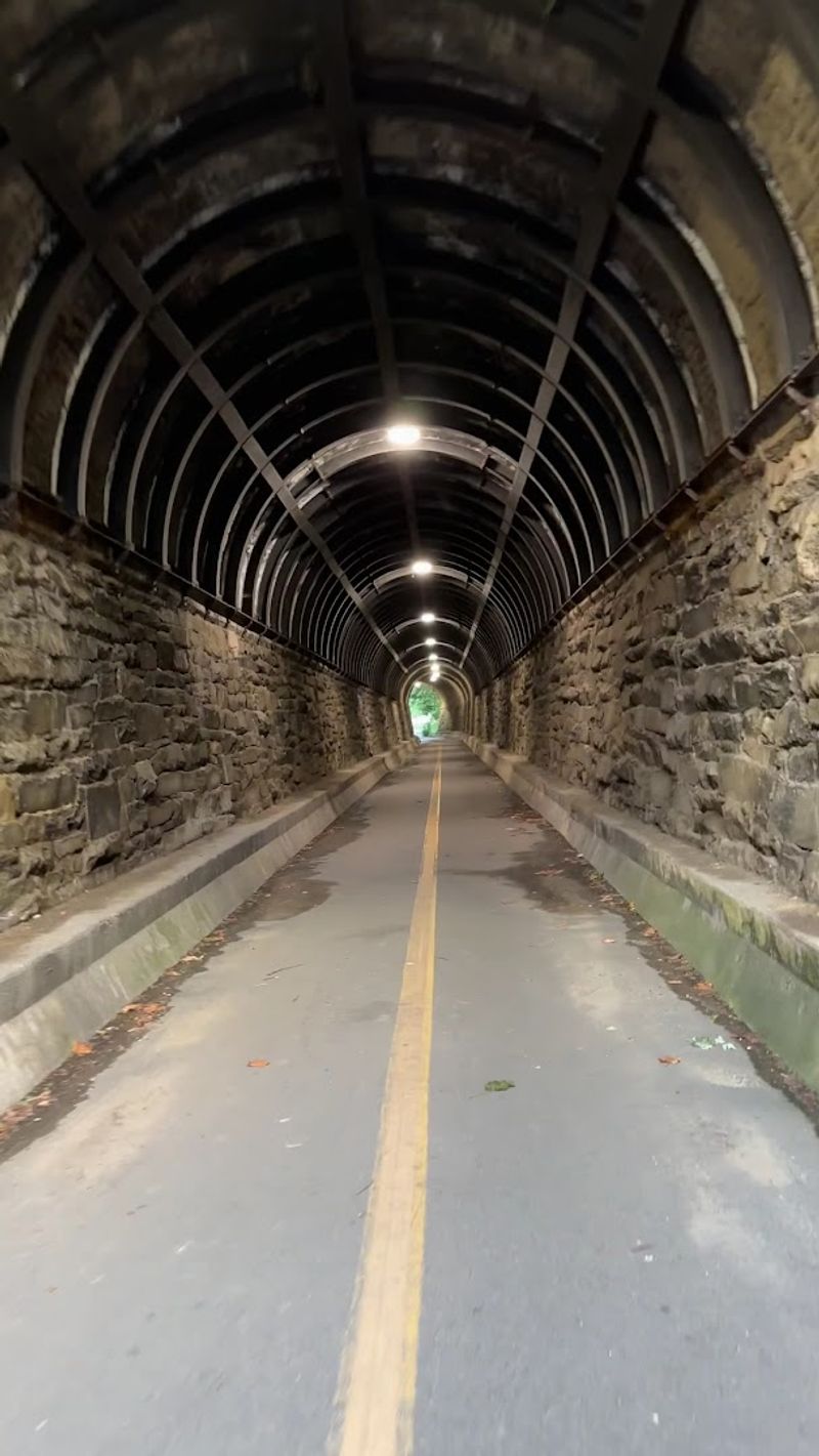 A Railroad Born Before the War