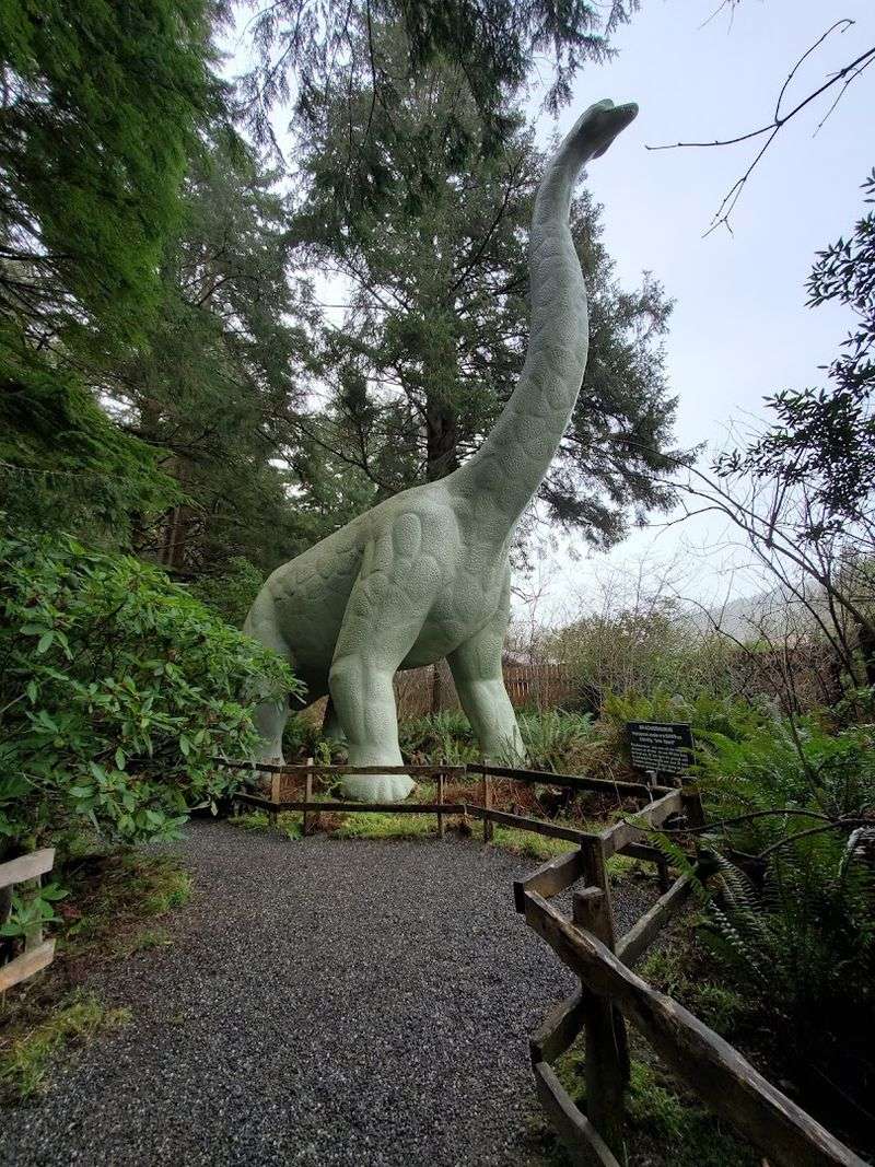 A Rainforest Setting Unlike Anything Else on the Coast