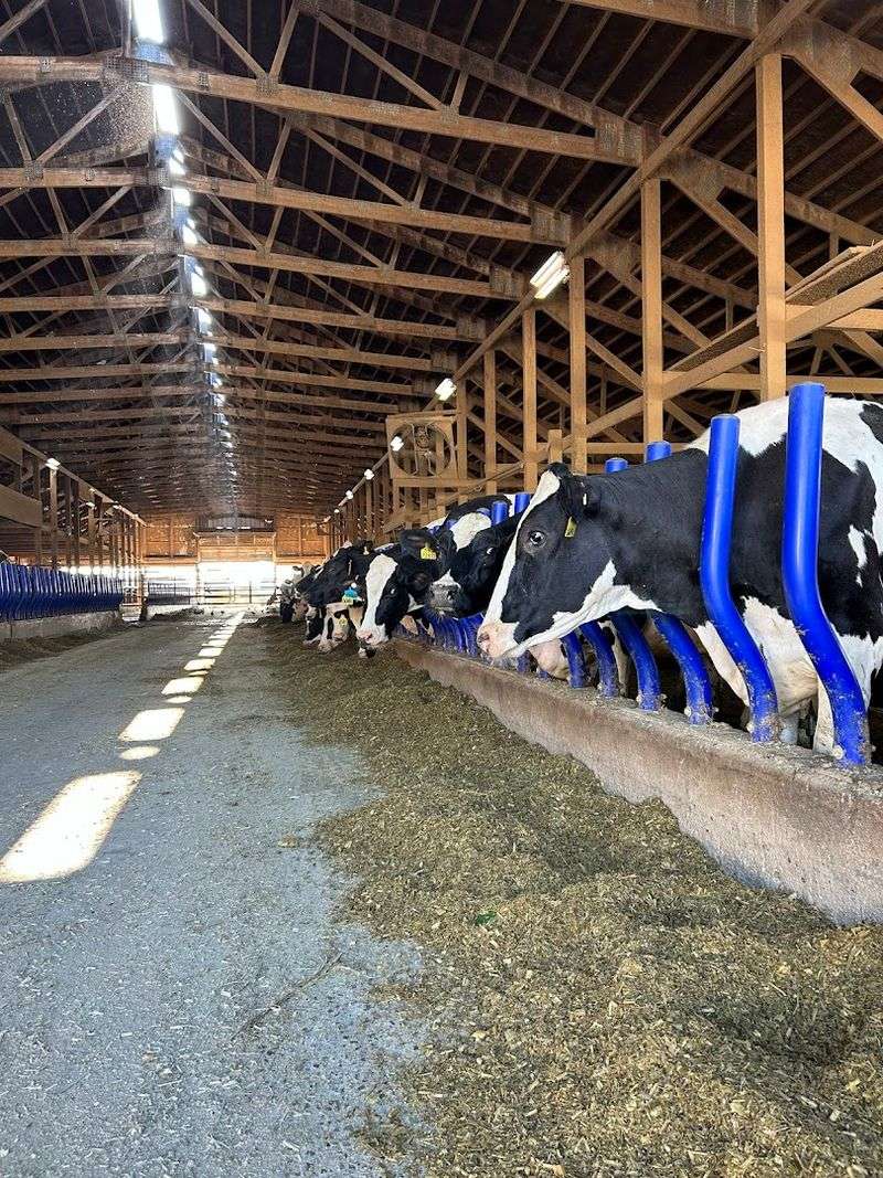 A Real Working Farm You Can Actually See and Experience