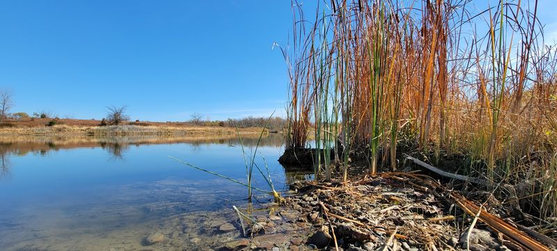 A Reclaimed Landscape Unlike Anything Else in Indiana