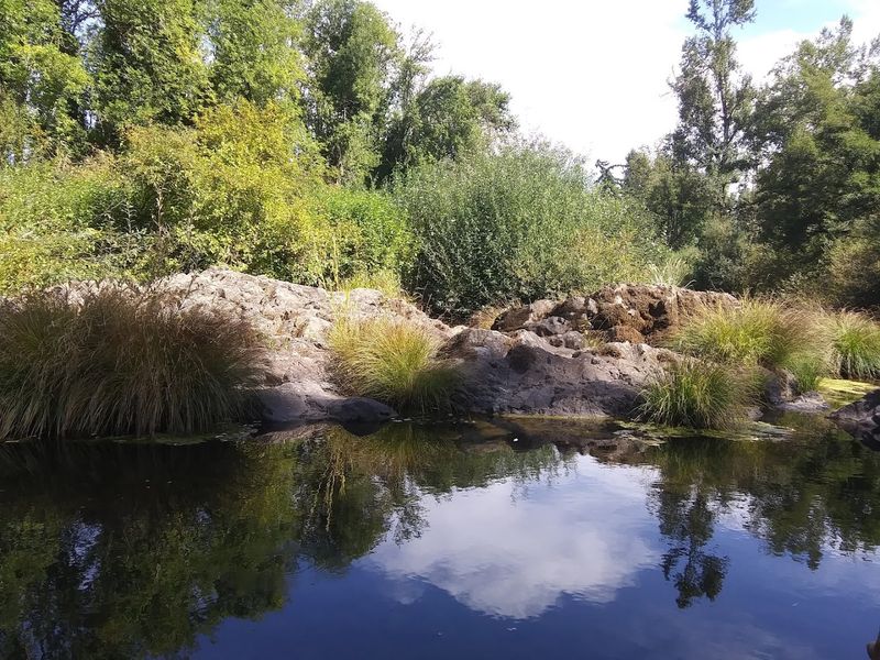 A Scenic Setting That Feels Straight Out of a Painting