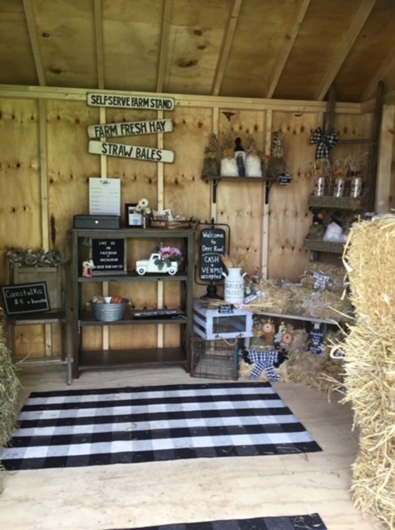 A Self-Serve Farm Stand Open Every Single Day A Self-Serve Farm Stand Open Every Single Day