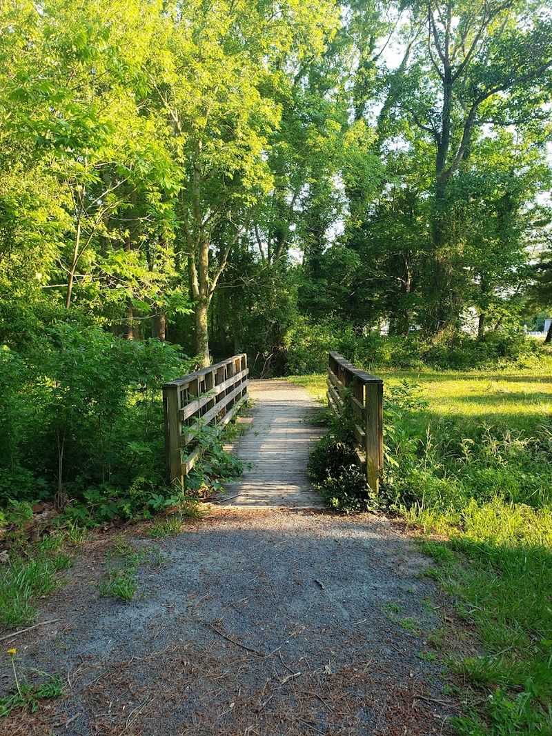 A Slow Walk Through Stephen Decatur Park