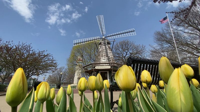 A Small Town That Becomes Something Extraordinary