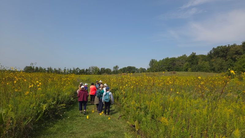 A Wetland Restoration Story Worth Witnessing