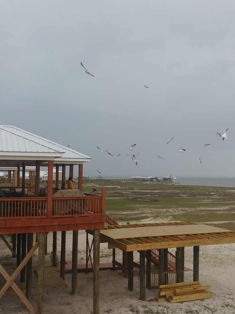 A Whole Island Dedicated to Bird Watching and Wildlife