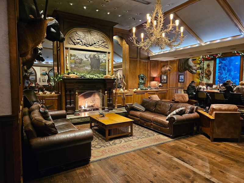 A Wildlife Vibe That Still Feels Comfortable
