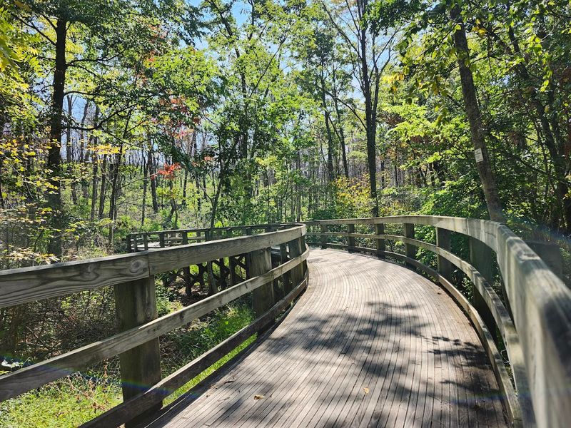 A Wooden Footbridge Worth the Trip Alone