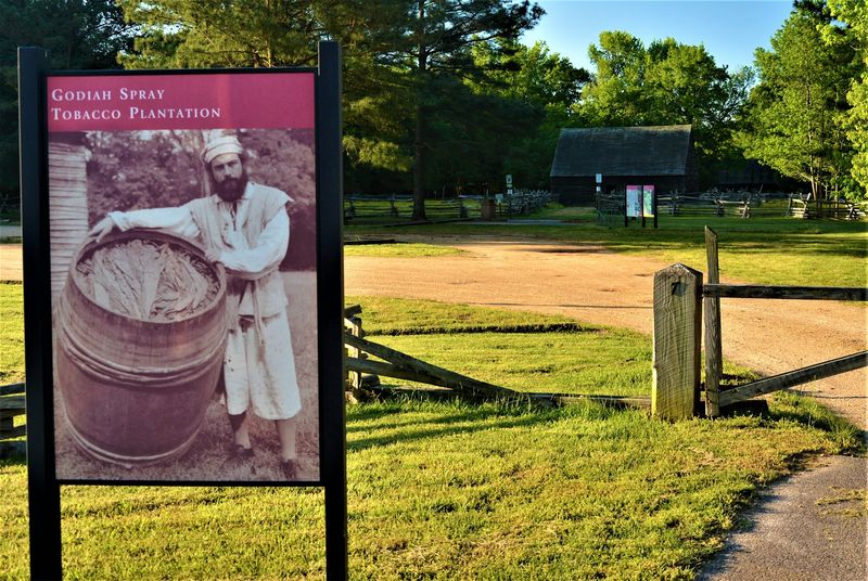A Working 17th-Century Tobacco Plantation With Heritage Livestock A Working 17th-Century Tobacco Plantation With Heritage Livestock