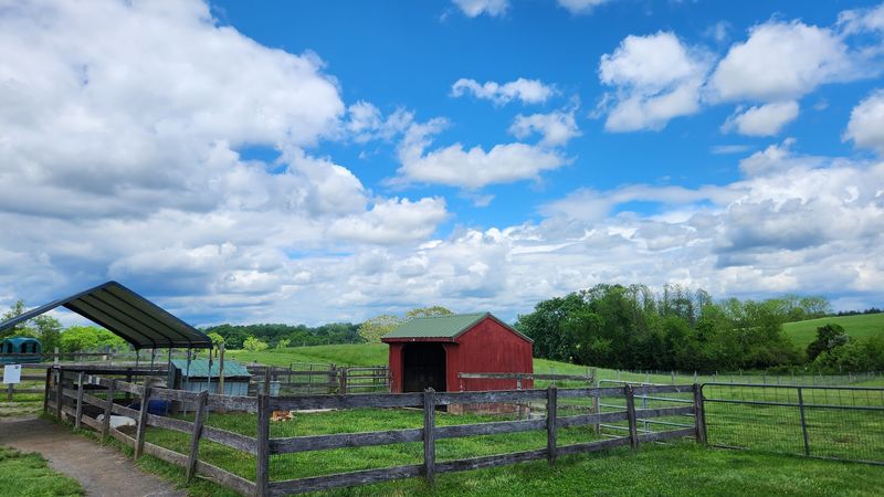 A Working Farm With Seven Generations of History A Working Farm With Seven Generations of History