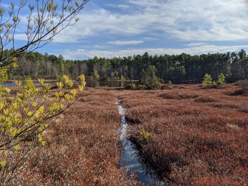 A Year-Round Destination With a Seasonal Personality