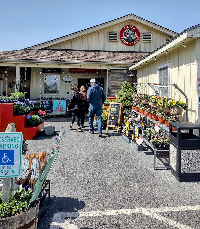 A Year-Round Destination Worth the Drive From Anywhere in the Region