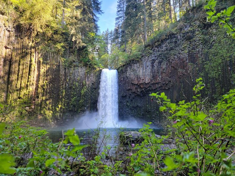 Abiqua Falls, Scotts Mills, Oregon