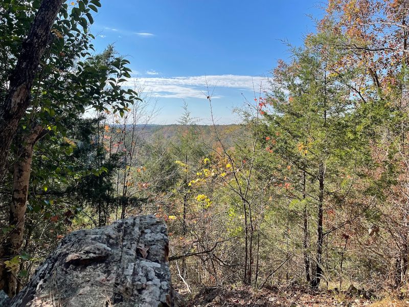 Abundant Wildlife and Natural Beauty in Alabama's Appalachian Foothills Abundant Wildlife and Natural Beauty in Alabama's Appalachian Foothills