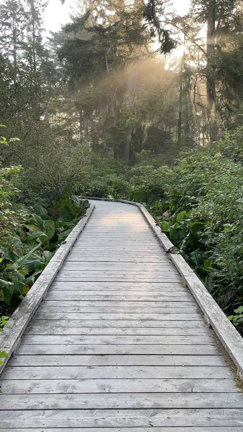 Accessibility and Who Can Use This Trail