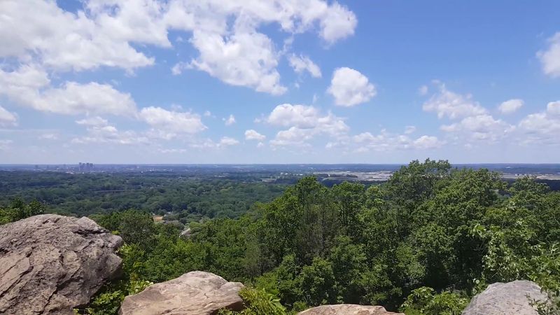 A Hidden Nature Preserve In The Heart Of The City