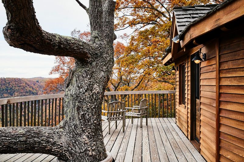 Adults Only Above the Treeline: Why the No-Kids Rule Actually Makes Sense
