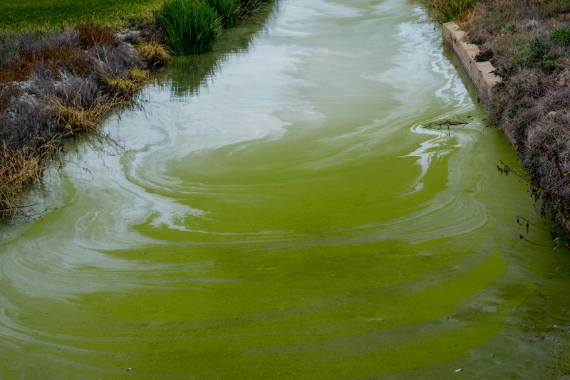 Water Quality Strain From Seasonal Crowds