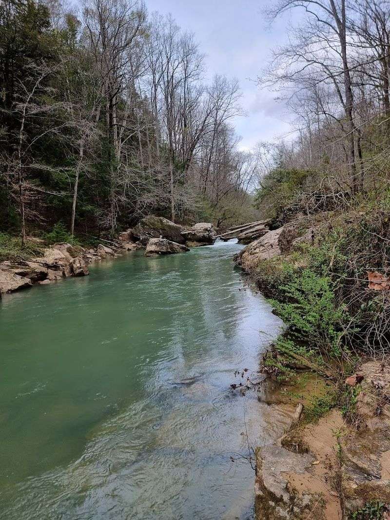 Alabama's Only Wild and Scenic River Runs Right Through It Alabama's Only Wild and Scenic River Runs Right Through It