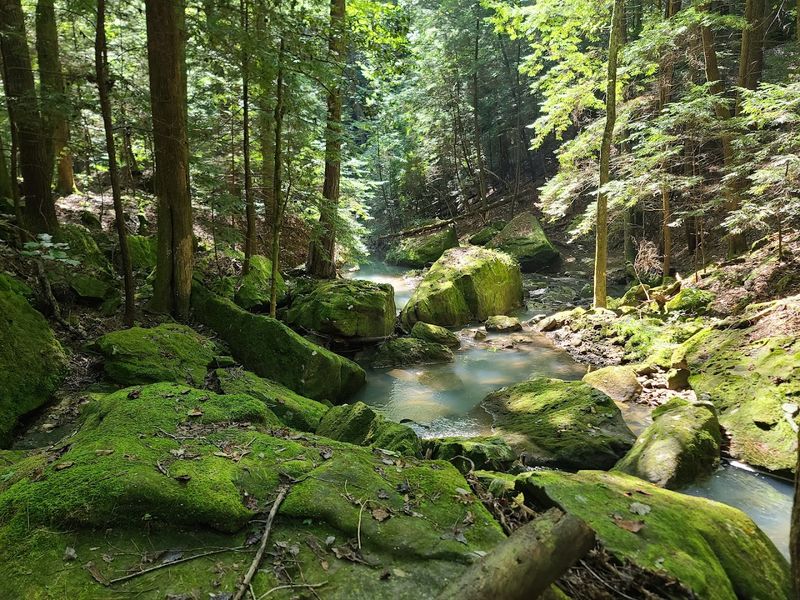Alabama's Only Wild and Scenic River Runs Right Through It
