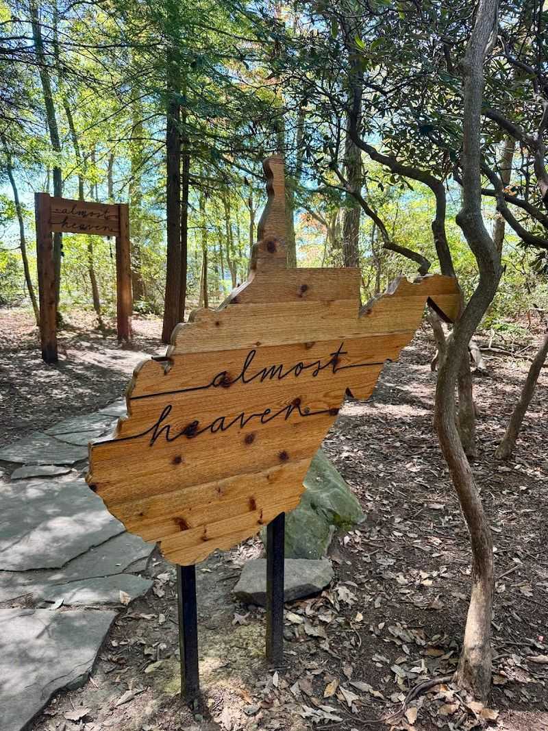 Almost Heaven Swing at Coopers Rock State Forest, Bruceton Mills, WV