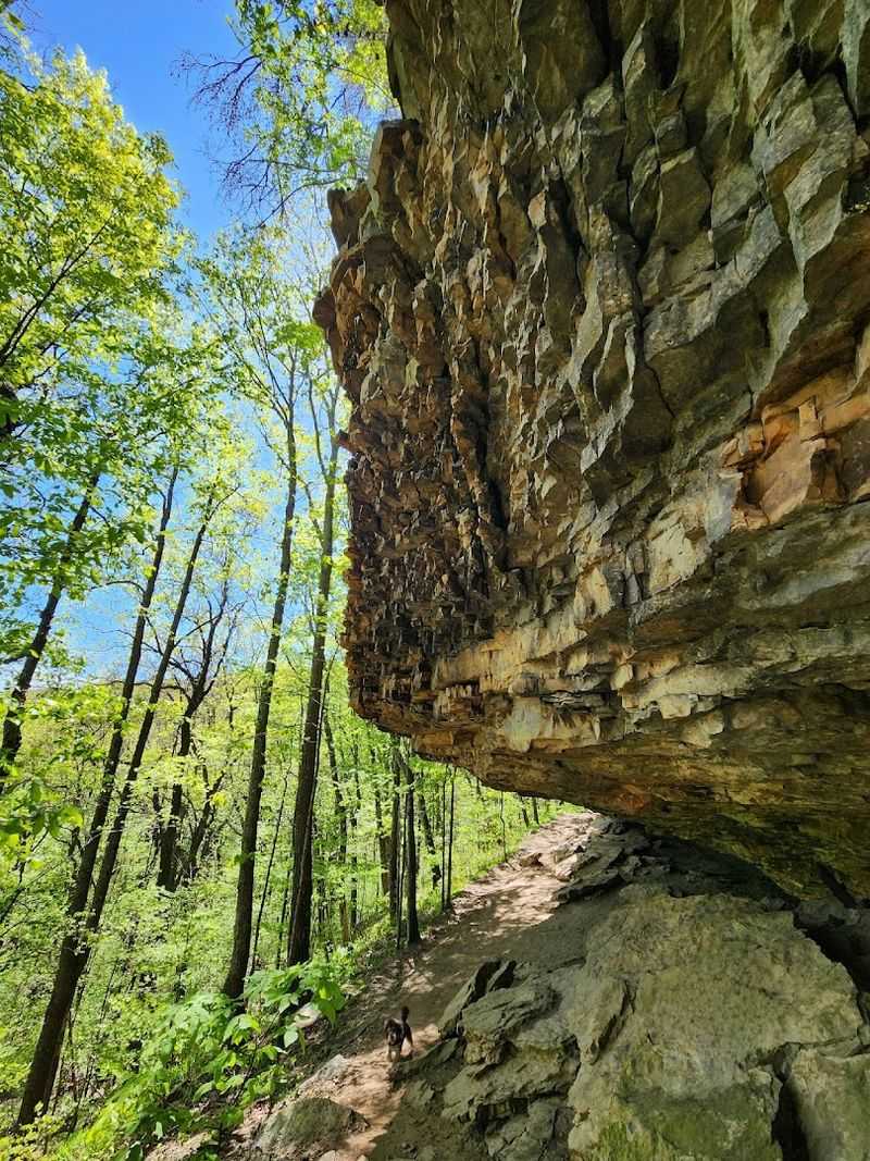 Alum Hollow Trail (Green Mountain Nature Preserve)