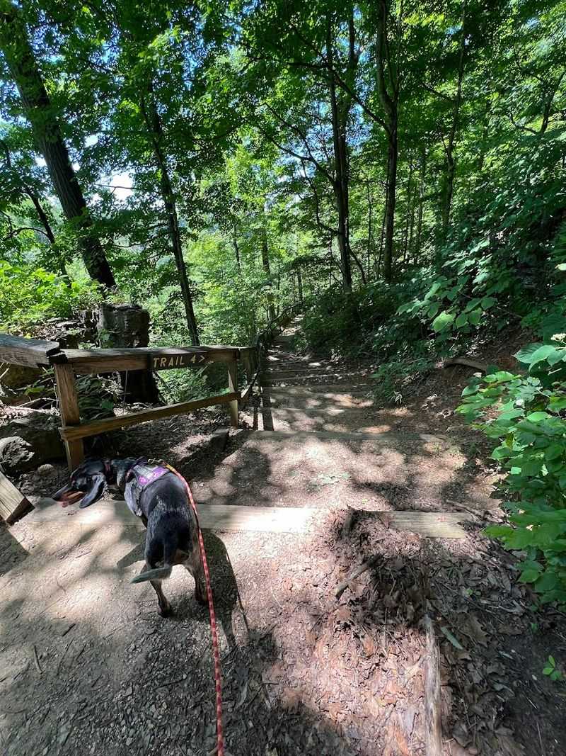 An Abandoned Railroad Tunnel Hidden Inside the Park