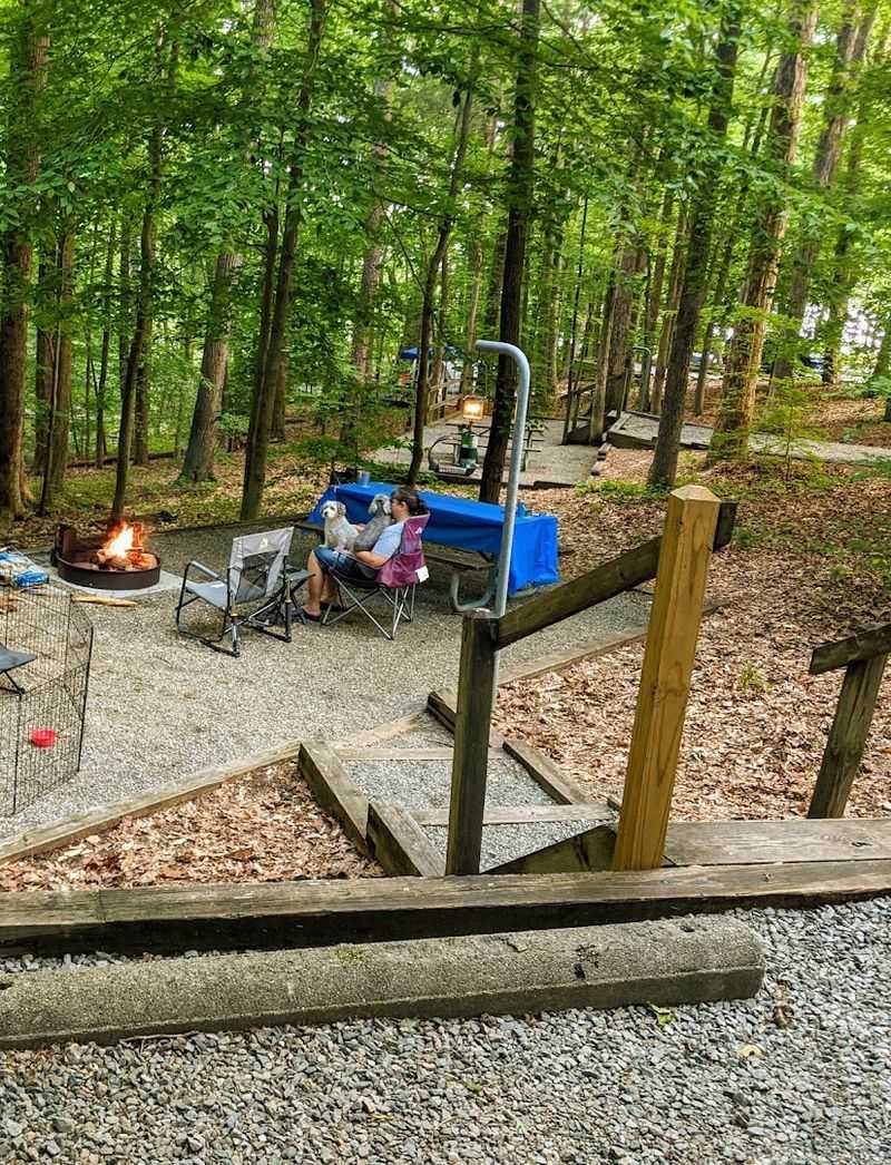 An Archery Range Unlike Anything You Have Tried Before