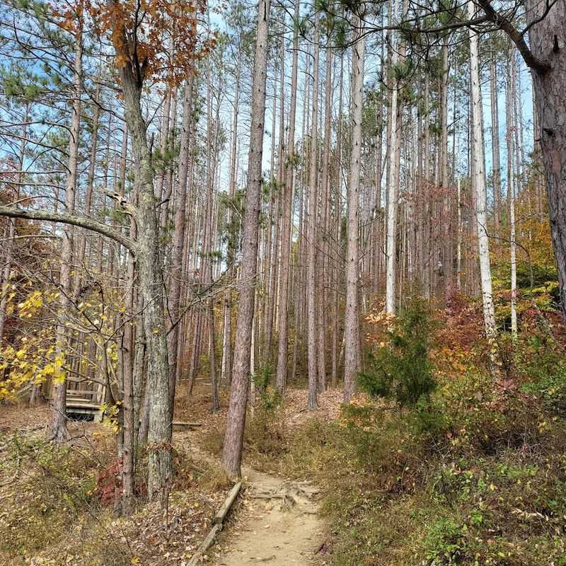 An Extensive Trail Network Built for Every Rider