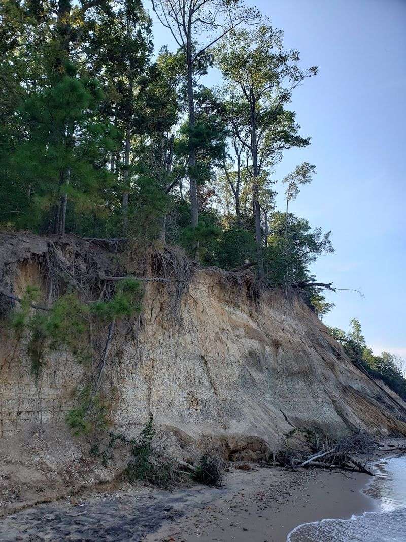 Ancient Cliffs That Tell a 15-Million-Year Story