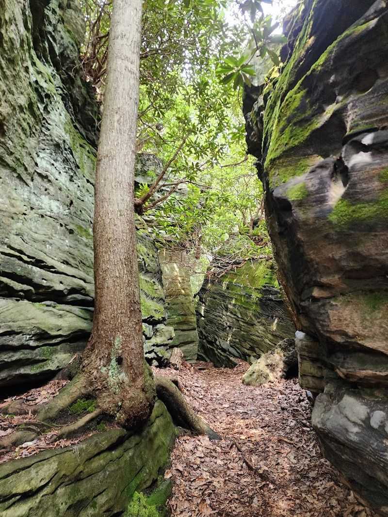 Ancient Sandstone Cliffs and Rock Formations