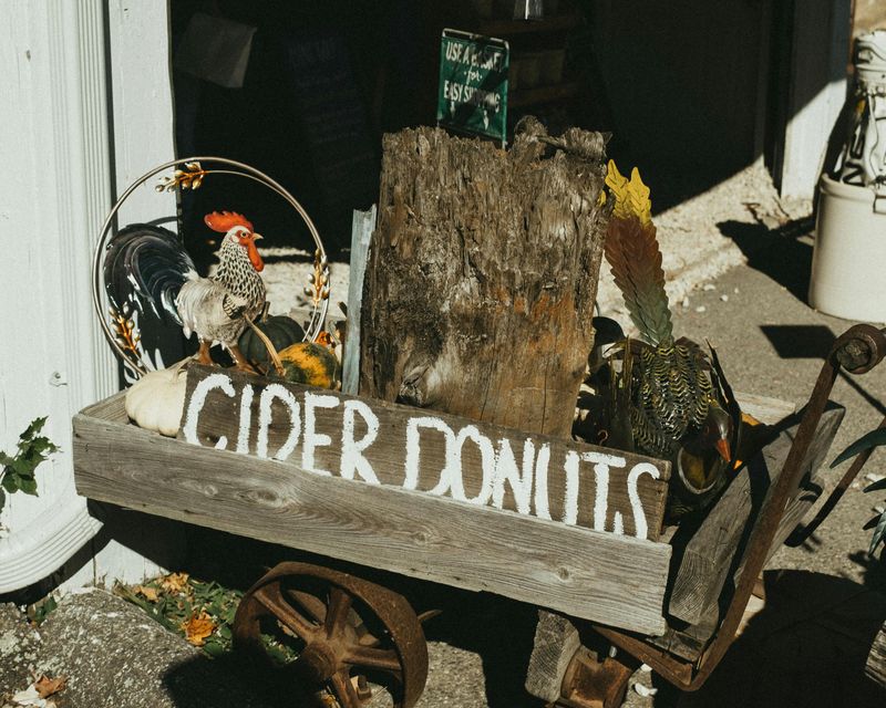 Apple Cider Donuts That People Drive Miles to Taste