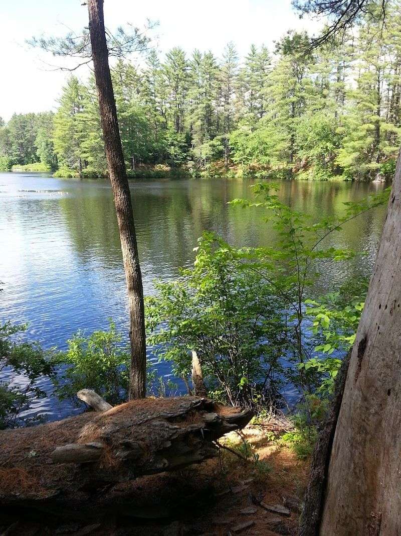 Archery Ranges Unlike Anything You Have Tried Before