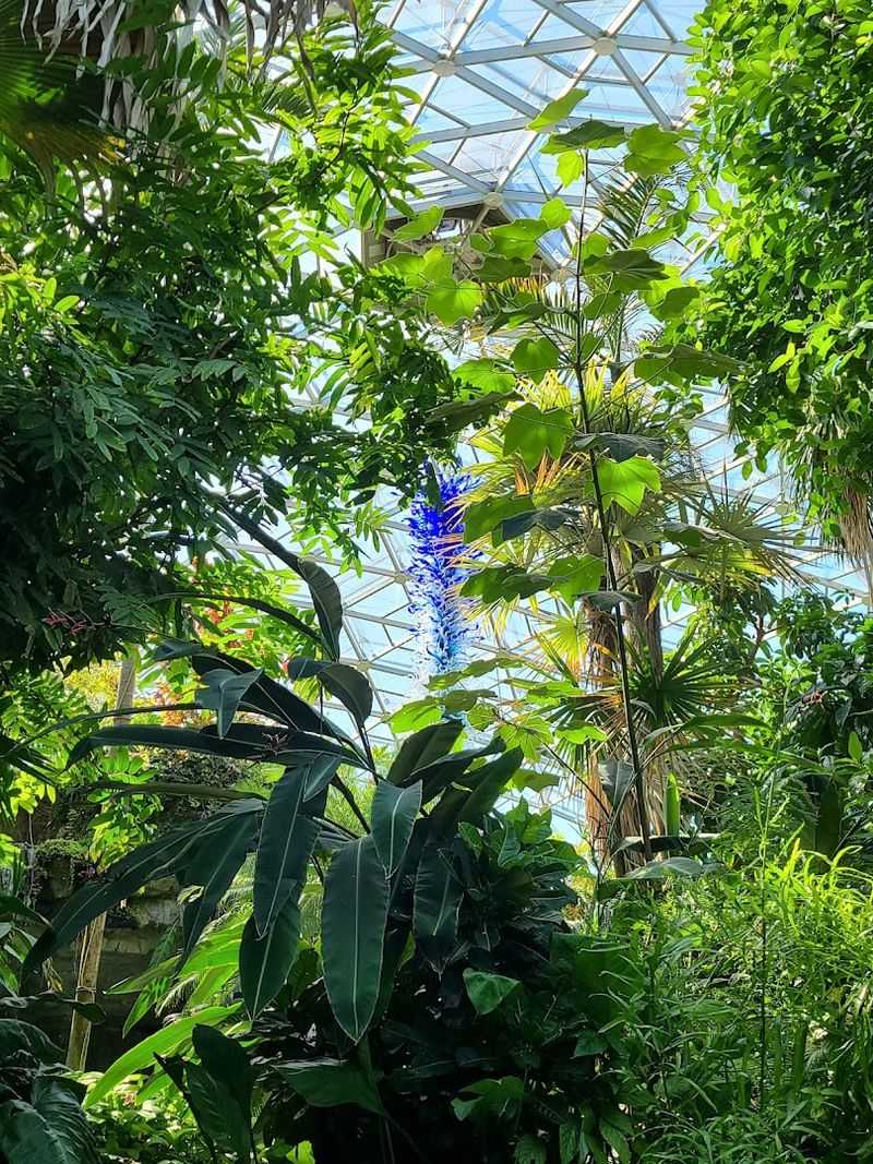 Art Woven Into the Heart of the Jungle