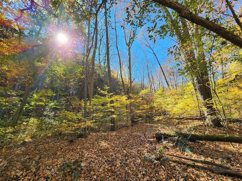 Autumn Colors That Make the Drive Alone Worth Every Mile