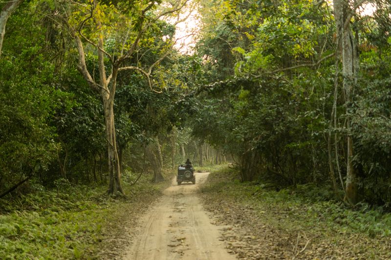 Backcountry Roads Seeing More Use