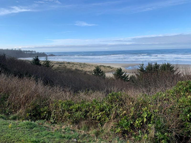 Bastendorff Beach and the Jetty Views You Will Not Forget