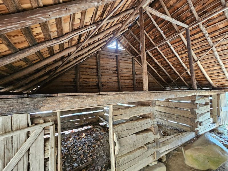 Bats in the Rafters and Bears by the Barn
