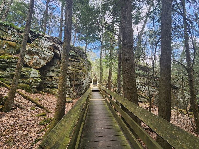 Beartown Boardwalk, West Virginia