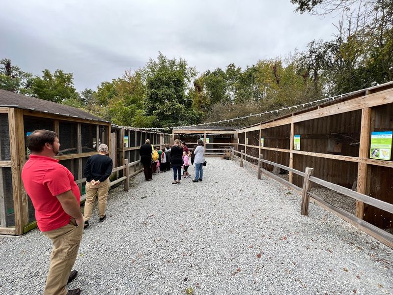 Behind-the-Scenes Rehabilitation Center Field Trips