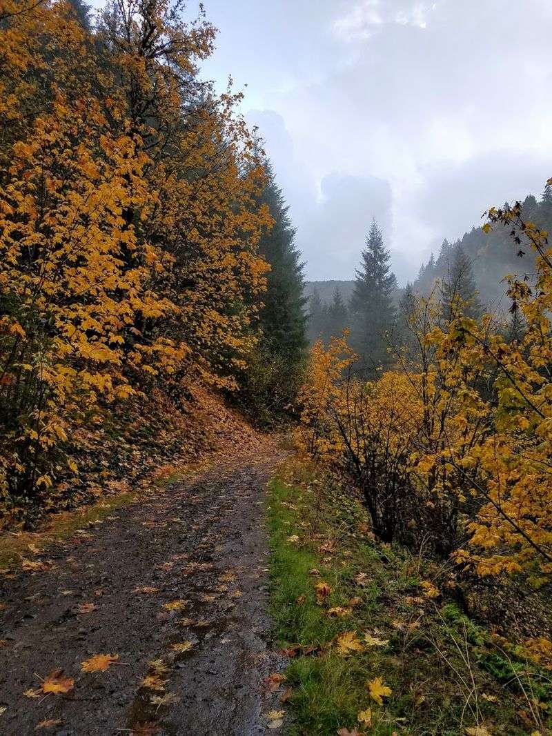 Best Time of Year to Visit