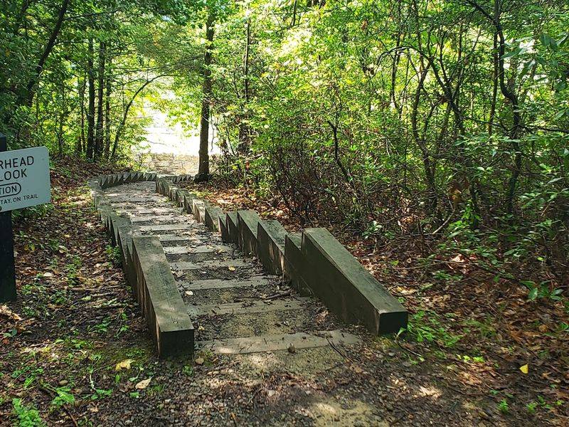 Best Time to Visit Patterson Trail for Maximum Magic