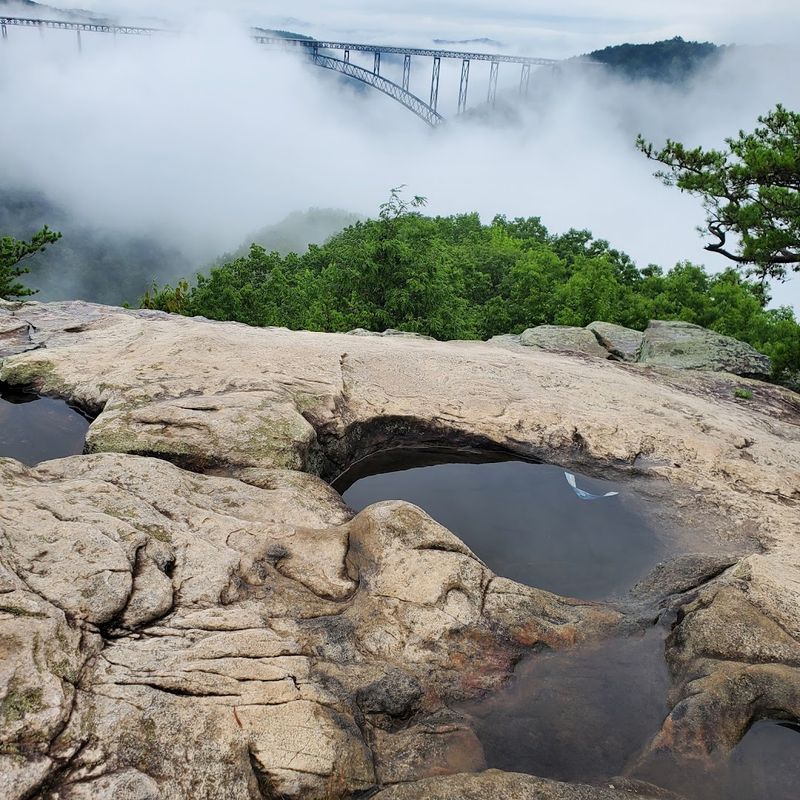Best Times Of Year To Visit Long Point Trail