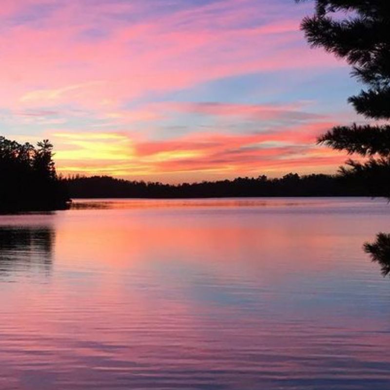 Best Times to Visit Deer Lake and What to Expect