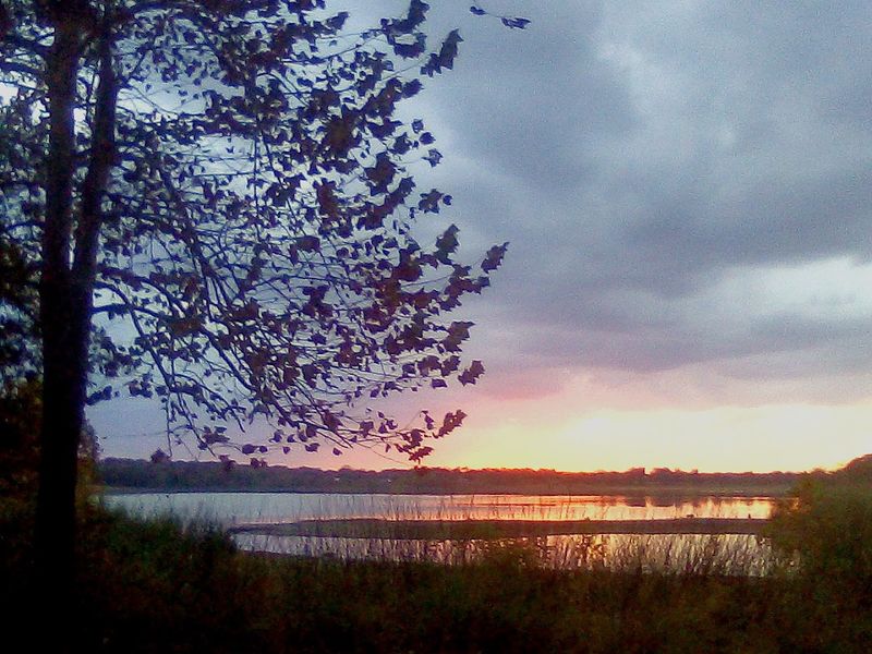 Best Times to Visit and What to Expect