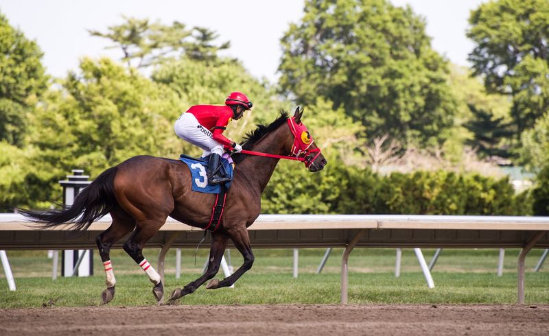 Betting for Beginners at the Track